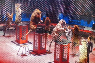 26.10.2019. Moskova. Circus 