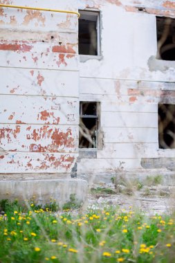 Eski bina. Harabeler. Yıkım. Bahar. Tuğla duvar.