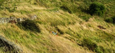 Genç adam bir tezgah, North Berwick, İskoçya üzerinde okuma