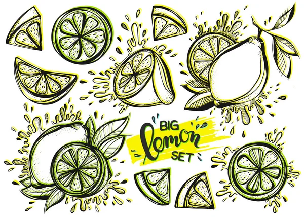 Set di limoni stilizzati disegnati a mano — Vettoriale Stock