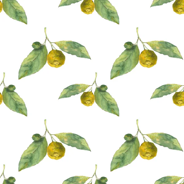 Klementiner. Citrus på vit bakgrund. Sömlös akvarell mönster — Stockfoto