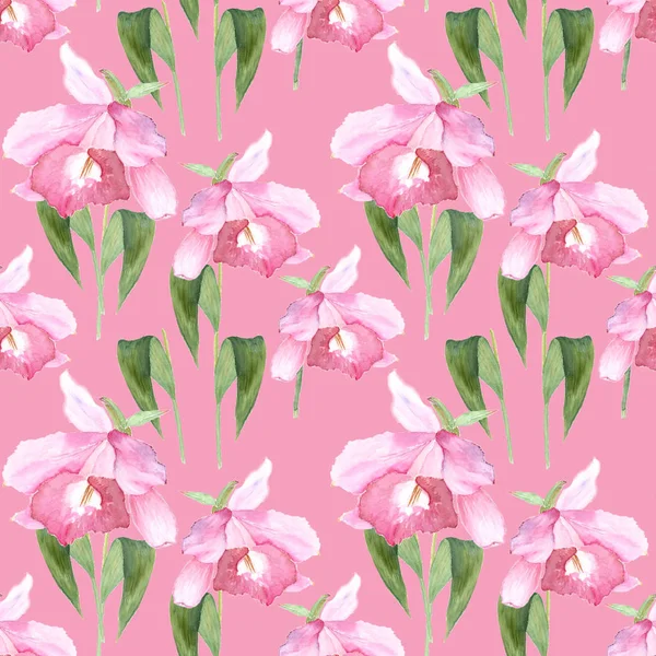 Pink orchid, cattleya on pink background. Seamless watercolor pattern — Stock Photo, Image