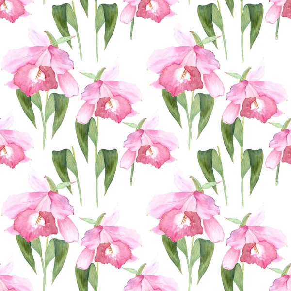 Розовая орхидея, каттлея на белом фоне. Бесшовный акварельный рисунок — стоковое фото