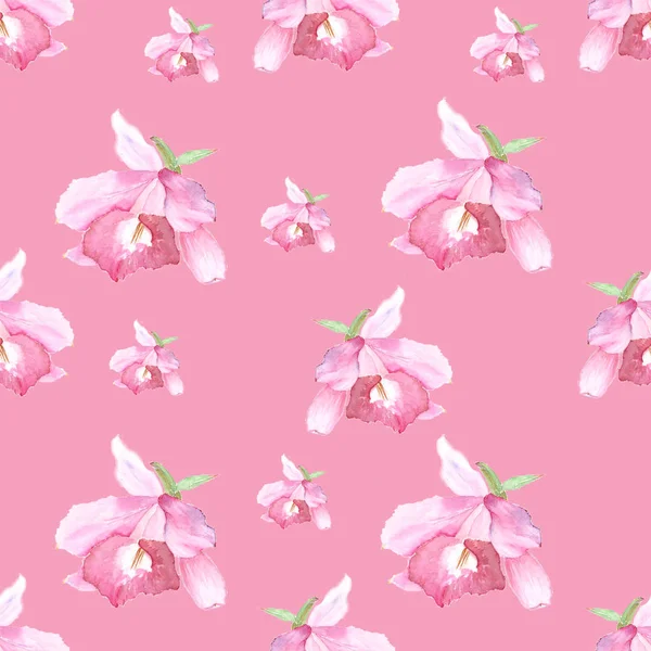 Pink orchid, cattleya on pink background. Seamless watercolor pattern — Stock Photo, Image