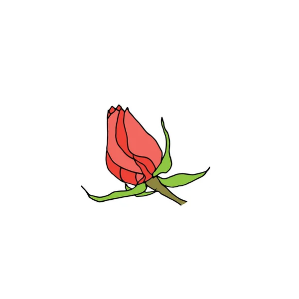 Ροζ τριαντάφυλλο μπουμπούκι που απομονώνονται σε λευκό φόντο. — Διανυσματικό Αρχείο