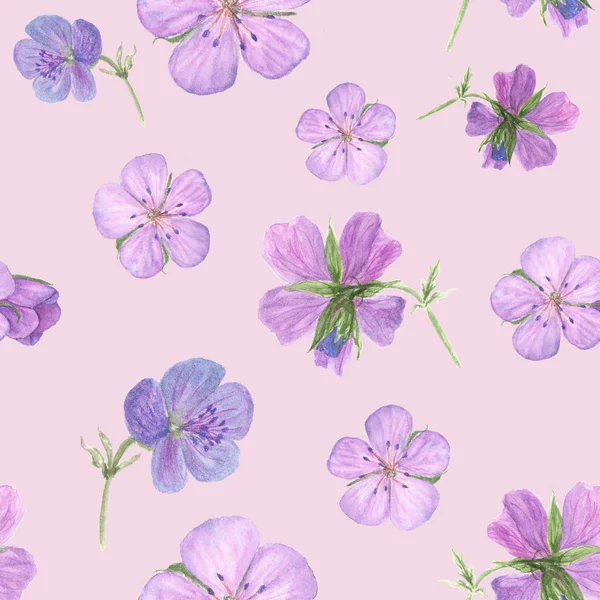 Watercolor floral seamless pattern with Forest geranium flowers on white background — Stock Photo, Image