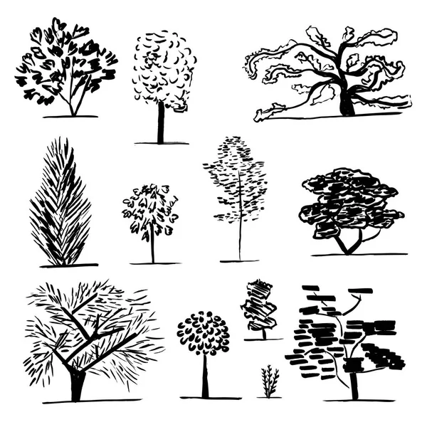 Conjunto de árvores. Preto e branco — Vetor de Stock