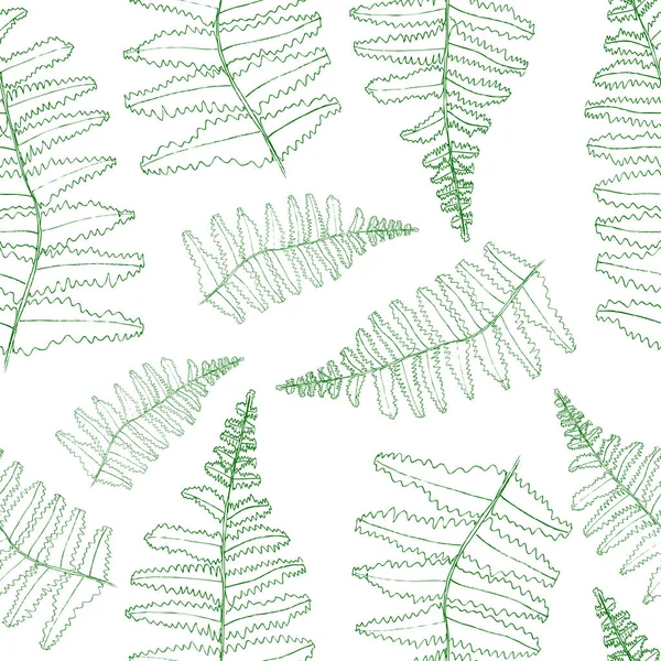 Coleção de silhuetas de samambaia vetorial. Impressões verdes isoladas de folhas de samambaia no branco — Vetor de Stock