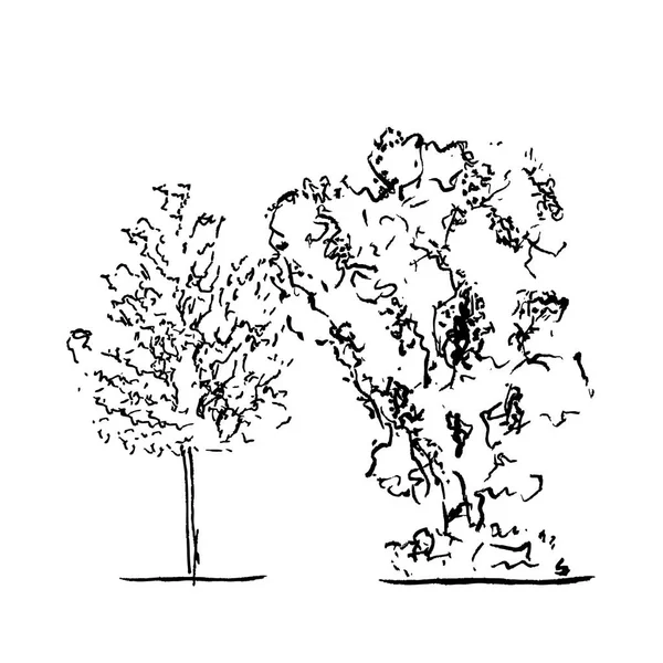 树的集合。黑色和白色轮廓 — 图库矢量图片