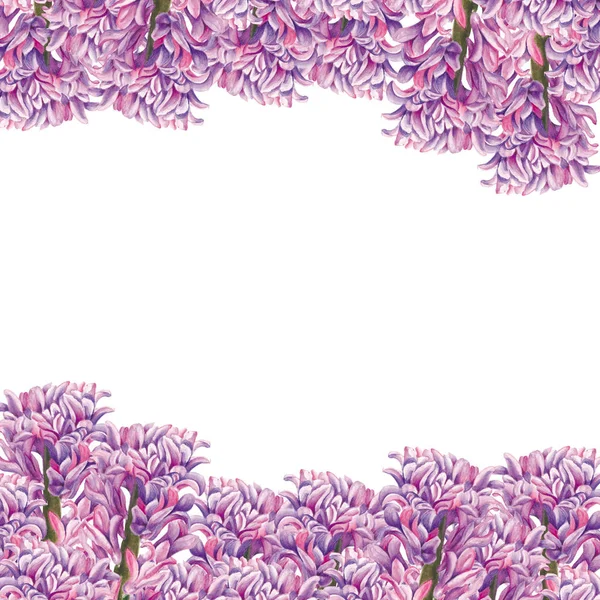 인사말 카드입니다. 흰색 배경에 hyacinthus의 식물 수채화 그림입니다. 웹 디자인, 다 원 기록 법 이나 섬유 꽃에 사용 될 수 있습니다. — 스톡 사진