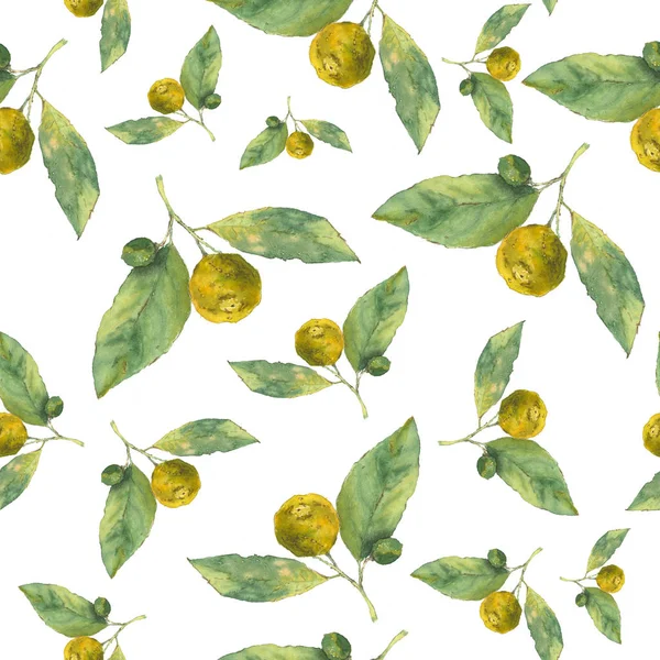 Clementines. Citrus op witte achtergrond. Naadloze aquarel patroon — Stockfoto