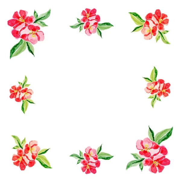 Tarjeta de felicitación en estilo japonés. Acuarela botánica ilustración de flor de membrillo rojo en flor sobre fondo blanco. Podría ser utilizado para el diseño web, poligrafía o textil —  Fotos de Stock
