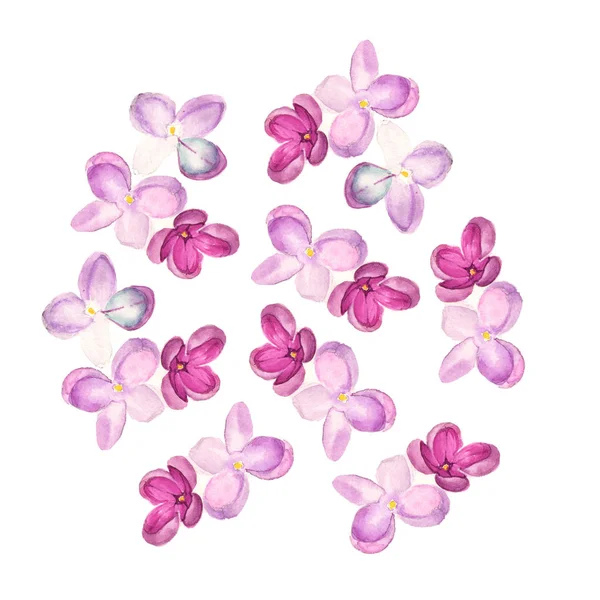 Illustrazione ad acquerello di siringhe lilla su bianco — Foto Stock