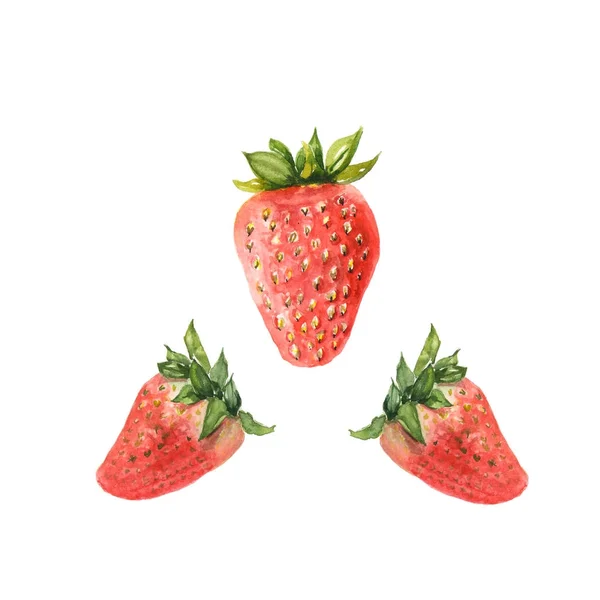 Ilustración en acuarela de fresa aislada en blanco —  Fotos de Stock