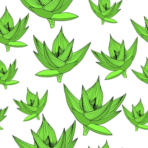 Nahtloser floraler Hintergrund mit Aloe. abstrakte Textur. perfekt für Tapeten, Webseiten-Hintergründe, Oberflächentexturen, Textilien — Stockfoto