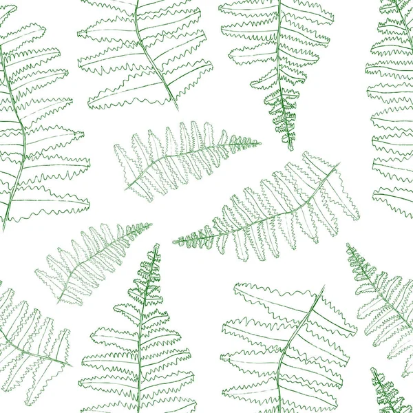 Coleção de silhuetas de samambaia. Impressões verdes isoladas de folhas de samambaia no branco — Fotografia de Stock
