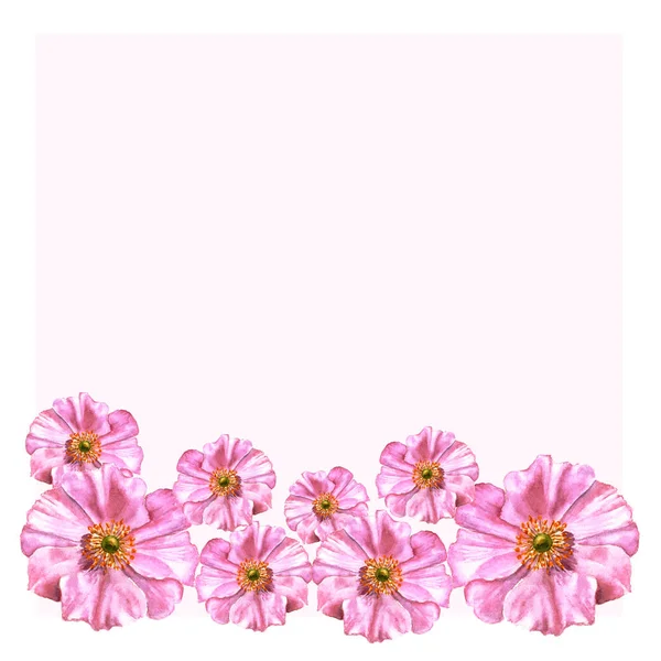Fiori ad acquerello dipinti a mano in stile vintage. Gli anemoni su bianco rosa possono essere utilizzati per biglietti di compleanno, inviti, biglietti di nozze, poster, biglietti per la festa della mamma — Foto Stock