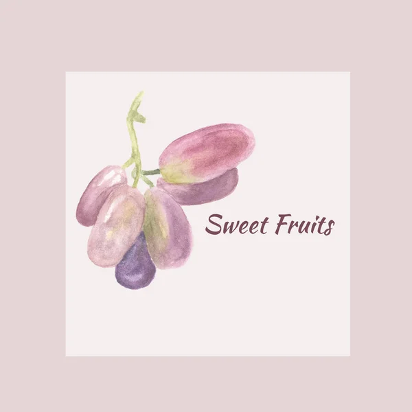 Aquarell Traube mit Text süßen Früchten. Rahmen, Embleme und Banner für Obst und Beeren frischen Saft oder speichern — Stockfoto