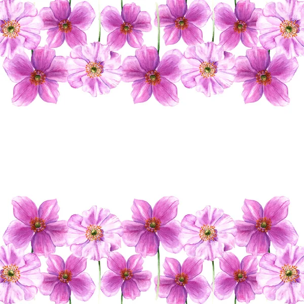 Watercolor border from anemone flowers. Hand drawn flowers isolated on white background. Botany illustration — Stock Photo, Image