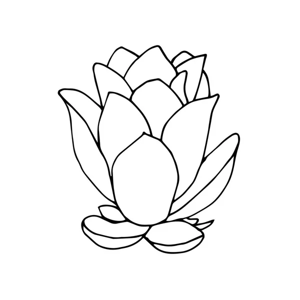 Illustrazione del fiore di loto bianco e nero. Illustrazione vettoriale isolata su sfondo bianco — Vettoriale Stock