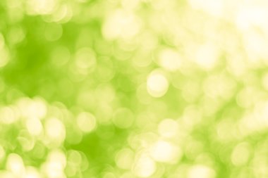 Doğa arka plan bulanık. Zemin rengi ve parlak güneşin lig ile