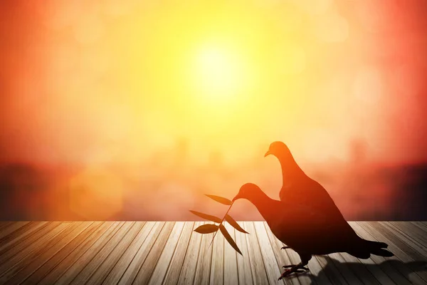 Kırmızı parlayan günbatımı gökyüzünde siluetleri uçan güvercin. — Stok fotoğraf