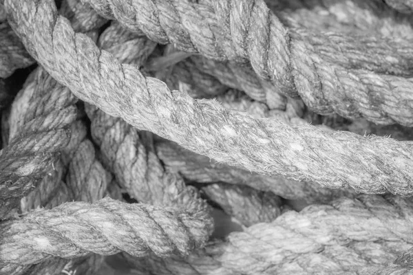 Queens rope with beautiful texture background — Stock Photo, Image