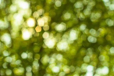 Sevgililer günü kavramının arka plan bulanık. Sevgililer günü 