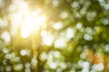 Sevgililer günü kavramının arka plan bulanık. Sevgililer günü kartı Pastel renk tones.multicolored beyaz kupa duvar kağıdı.