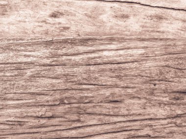 Gerçek doğal ahşap doku arka plan texture.architecture fon kurulu renk ışık duvar Beyaz ahşap zemin boya grunge rustik zor. Mesaj panoları ve metin mesajları .