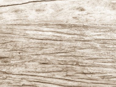 Gerçek doğal ahşap doku arka plan texture.architecture fon kurulu renk ışık duvar Beyaz ahşap zemin boya grunge rustik zor. Mesaj panoları ve metin mesajları .