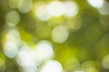 bokeh arka plan veya Noel arka plan.