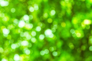 Yeşil ve beyaz bulanık ufuk doğa veya bokeh daireler c bulanıklık