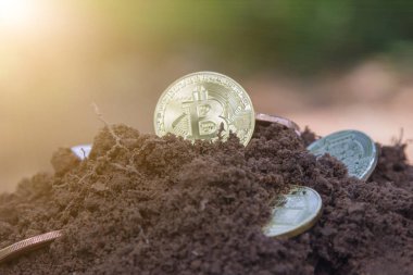 Kazdık Topraktan toprağa bitcoins lira. Mo Bitcoin olduğunu