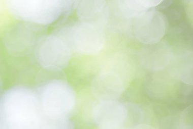 Doğal bahar, arka planda bulanık yeşil yapraklar bırakır. Soyut, yeşil, beyaz, yumuşak bir parti yaratın. Eski tarz, ılık, parıltılı ve sönük, sönük, dairesel, modern bir parti. Gri gümüş parlak kopyalama alanı