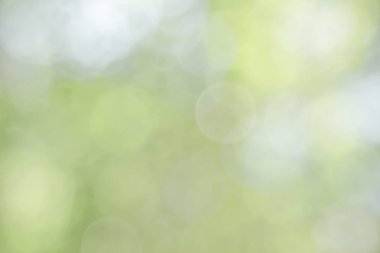 Doğal bahar, arka planda bulanık yeşil yapraklar bırakır. Soyut, yeşil, beyaz, yumuşak bir parti yaratın. Eski tarz, ılık, parıltılı ve sönük, sönük, dairesel, modern bir parti. Gri gümüş parlak kopyalama alanı