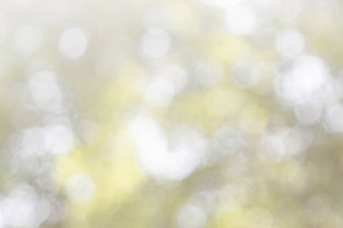 Doğal bahar, arka planda bulanık yeşil yapraklar bırakır. Soyut, yeşil, beyaz, yumuşak bir parti yaratın. Eski tarz, ılık, parıltılı ve sönük, sönük, dairesel, modern bir parti. Gri gümüş parlak kopyalama alanı