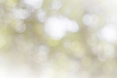 Doğal bahar, arka planda bulanık yeşil yapraklar bırakır. Soyut, yeşil, beyaz, yumuşak bir parti yaratın. Eski tarz, ılık, parıltılı ve sönük, sönük, dairesel, modern bir parti. Gri gümüş parlak kopyalama alanı