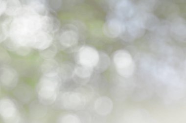 Doğal bahar, arka planda bulanık yeşil yapraklar bırakır. Soyut, yeşil, beyaz, yumuşak bir parti yaratın. Eski tarz, ılık, parıltılı ve sönük, sönük, dairesel, modern bir parti. Gri gümüş parlak kopyalama alanı