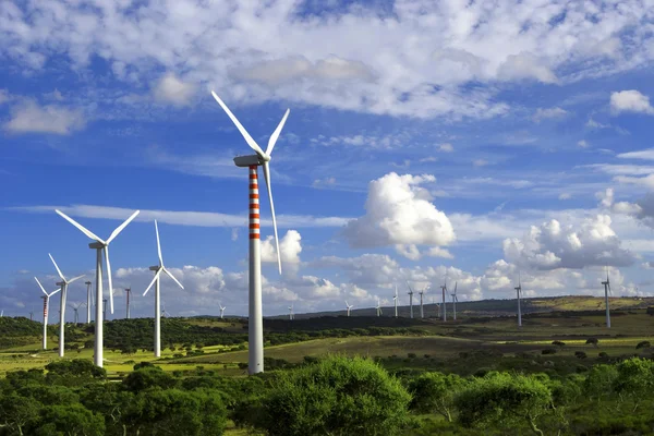 Rüzgar kuleleri ve bulutlu gökyüzü manzara