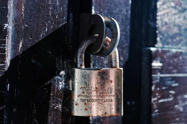 Guld kärlek Protector — Stockfoto