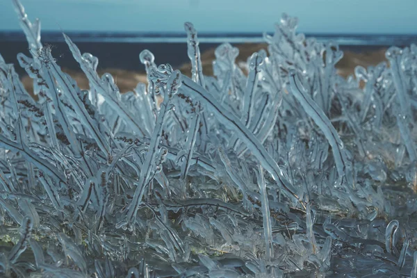 Трава под льдом — стоковое фото
