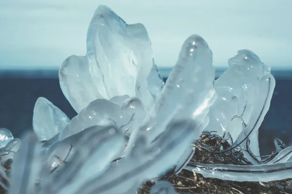 Erba sotto il ghiaccio - baia di Finlandia — Foto Stock