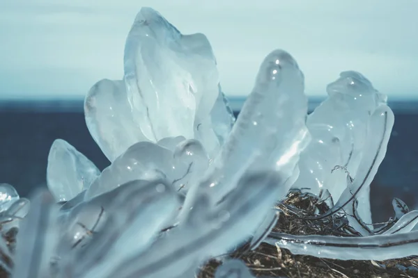 冰下的草-芬兰海湾 — 图库照片