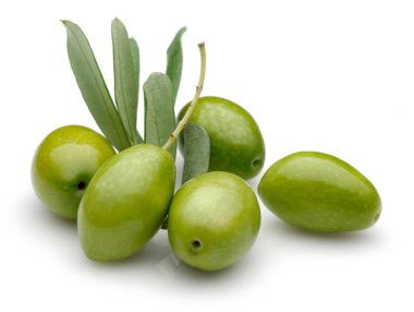 Yeşil zeytin yeşil yaprakları ile