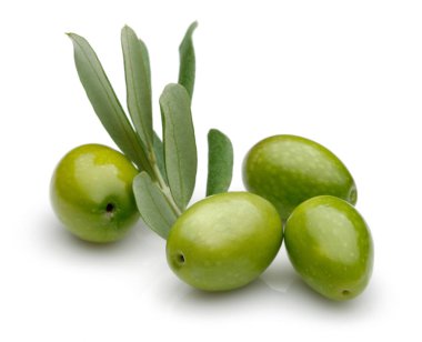 Yeşil zeytin yeşil yaprakları ile