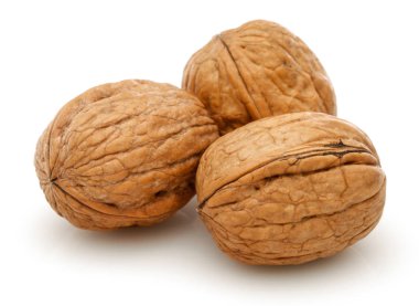 Walnut Group isolated