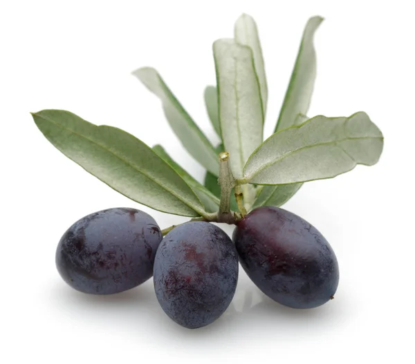 Black Olive with green leaves — Stock Photo, Image