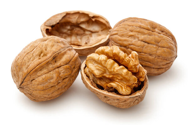 Half walnut kernel