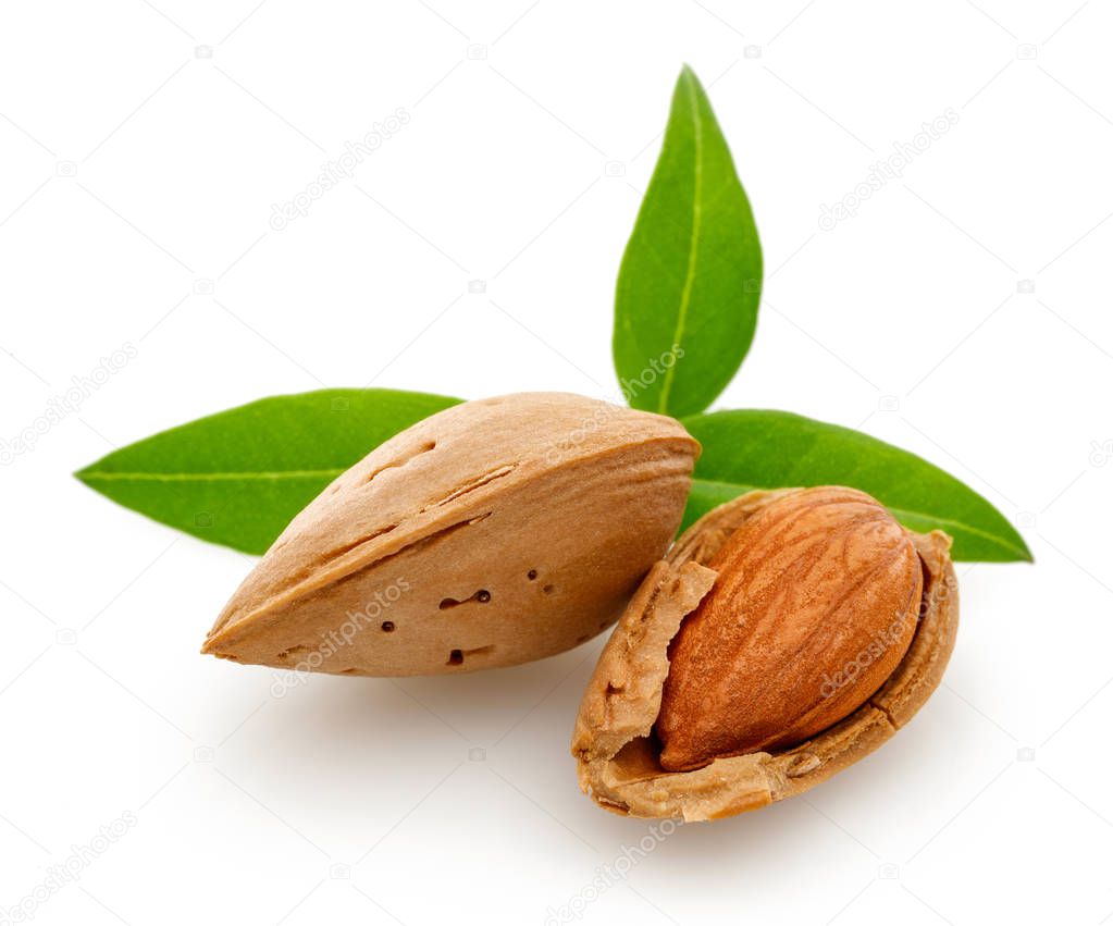 Almond nut group